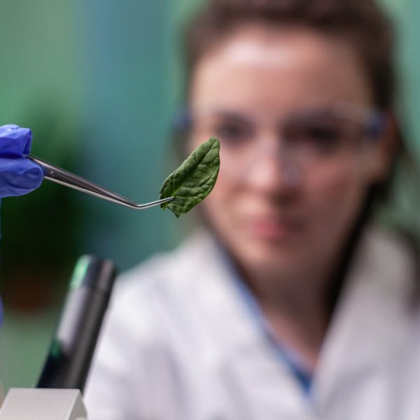 Compliance Consulting